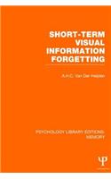 Short-term Visual Information Forgetting (PLE
