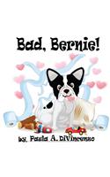 Bad, Bernie!