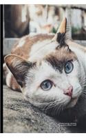 Journal Pages - Cat Face Smile (Bullet Journal): 6" X 9," Dotted Grid, Dot Matrix Bullet Journal Notebook-Essential for Notes, Sketches & Writing - 100 Pages (Durable Cover)