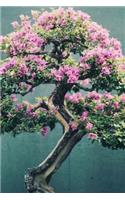 Bonsai Notebook
