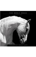 Noble Horse, the 2020 Square Wall Calendar