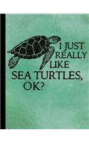 I Just Really Like Sea Turtles Composition Notebook - 4x4 Quad Rule