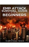 EMP Attack Survival Guide For Beginners