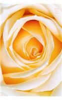 Yellow Rose Notes: Wide Ruled, Blank Notebook, Pocket Size, Glossy Cover Design on Front and Back, 6 X 9 Inches