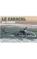 Caracal
