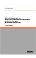 Zur Frühförderung in der Montessori-Pädagogik unter besonderer Berücksichtigung der Wahrnehmungsschulung