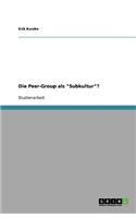 Die Peer-Group als 