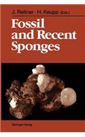 Fossil and Recent Sponges