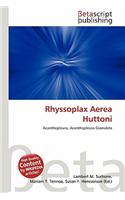 Rhyssoplax Aerea Huttoni: (English)