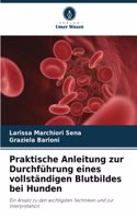 Praktische Anleitung zur Durchführung eines vollständigen Blutbildes bei Hunden