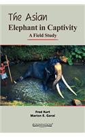 Asian Elephant in Captivity: A Field Study