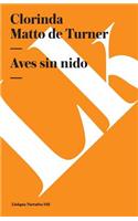 Aves Sin Nido