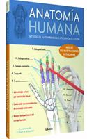 AnatomÂ¡a Humana ( Aprender con el color)