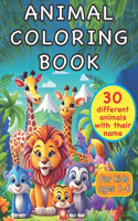 Animal Coloring Book