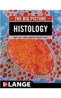 Histology: The Big Picture