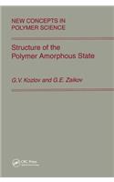 Structure of the Polymer Amorphous State