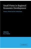 Small Firms in Regional Economic Development