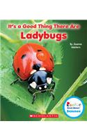 It's a Good Thing There Are Ladybugs