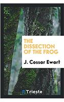 The dissection of the frog