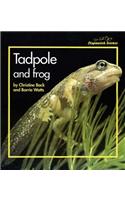 Stopwatch Big Book: Tadpole and Frog