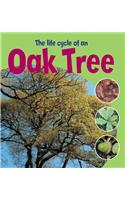 Learning About Life Cycles: The Life Cycle of an Oak Tree: (Learning About Life Cycles)