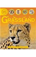Life Cycles: Grassland
