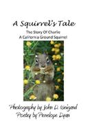A Squirrel's Tale