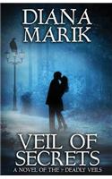 Veil of Secrets