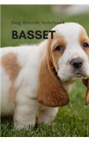 Basset