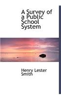 A Survey of a Public School System