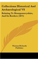 Collections Historical And Archaeological V8: Relating To Montgomeryshire, And Its Borders (1875)