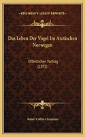 Das Leben Der Vogel Im Arctischen Norwegen
