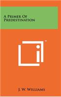 A Primer of Predestination