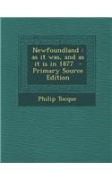 Newfoundland: As It Was, and as It Is in 1877: As It Was, and as It Is in 1877