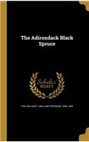 The Adirondack Black Spruce
