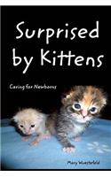 Surprised By Kittens: Caring for Newborns