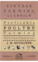 Profitable Poultry Farming - Describing in Detail the Methods That Give the Best Results, and Pointing Out the Mistakes to Be Avoided