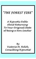 Forest Fire