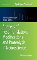 Analysis of Post-Translational Modifications and Proteolysis in Neuroscience