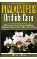 Phalaenopsis Orchids Care