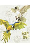 Daily Planner 2020-2021 Watercolor Parrot 15 Months Gratitude Hourly Appointment Calendar: Academic Hourly Organizer In 15 Minutes Interval; Monthly & Weekly Journal Diary With Address Book & Password Log; Jan 2020 To Mar 2021 With Julian 