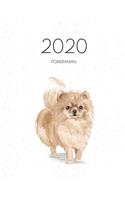 2020 Pomeranian: Dated Weekly Planner With To Do Notes & Dog Quotes - Pommeranian