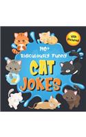 140+ Ridiculously Funny Cat Jokes