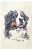 Bernese Mountain Dog Portrait Notebook