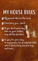My House Rules: Afghan Hound Puppy Dog 2020 2021 Monthly Weekly Planner Calendar Schedule Organizer Appointment Journal Notebook For Afghan Hound Dog Owners and Pup