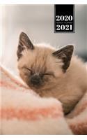 Siamese Cat Kitten Kitty Tomcat Week Planner Organizer 2020 / 2021 - Sleeping Baby: Cute Animal Pet Owner Weekly Bullet Journal Notebook Diary in 6" x 9" Inch Pocket Size