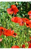 A Beautiful View of Red Poppies in the Garden Journal: Take Notes, Write Down Memories in this 150 Page Lined Journal