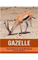 Gazelle: Fun Facts & Cool Pictures