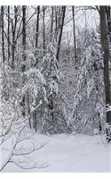 2019 Daily Planner Winter Snowy Woods Photo 384 Pages: (Notebook, Diary, Blank Book)(2019 Planners Calendars Organizers Datebooks Appointment Books Agendas)