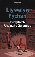 Llywelyn Fychan: Dirgelwch Rheinallt Gwynedd